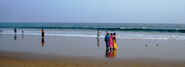 Special Wildlife Tour