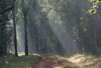 Special Wildlife Tour