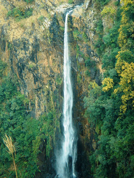 Special Wildlife Tour