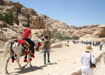 Petra One Day Tour From Eilat / Aqaba Port / Aqaba Airport