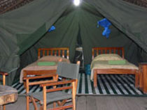 3 Days Masai Mara Budget Camping Joining Safari Tour