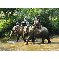 Chiang Mai Elephant Safari
