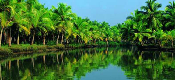 Kerala Tour - DP8B(CMPKAKT)