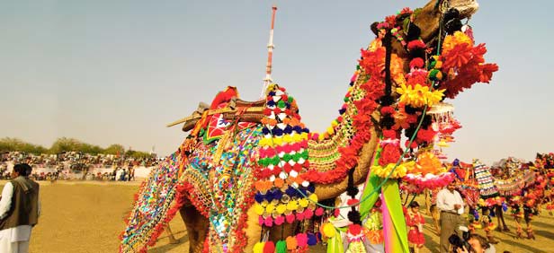 Rajasthan Fort and Heritage Tour