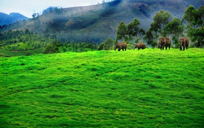 Kerala with South India Tour