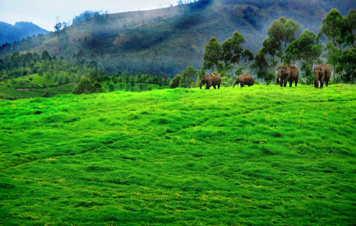 Kerala with South India Tour