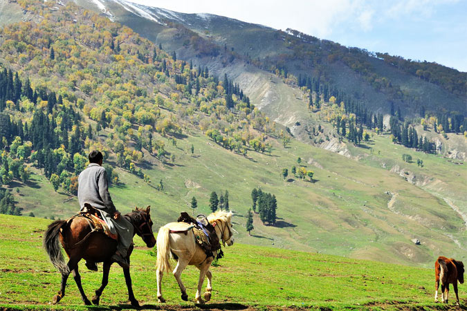 Kashmir Paradise on Earth Package