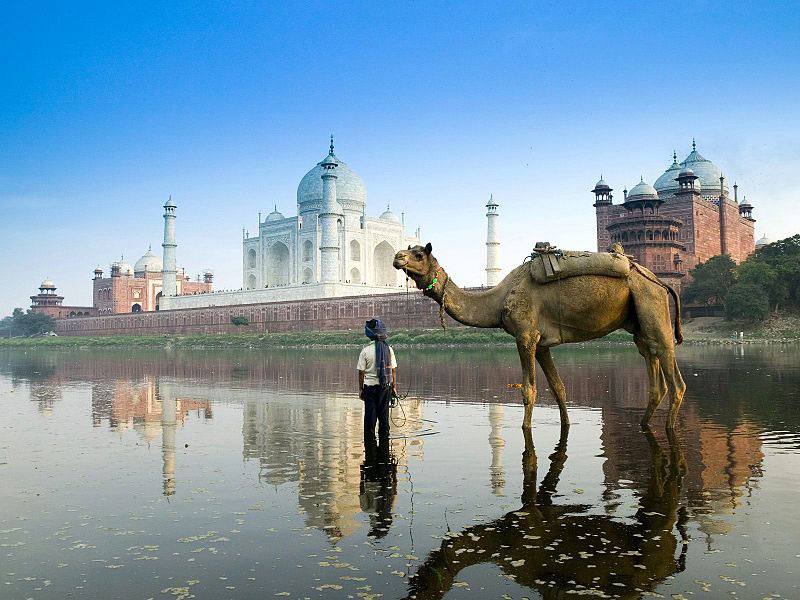 Buddhist Pilgrimage and Taj Mahal Tour