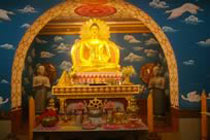 Buddhist Tour Package - 01
