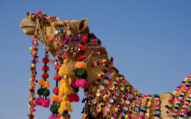 Golden Triangle Tour With Haridwar - Rishikesh - Ranthambore