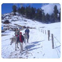 Chandigarh - Shimla - Kufri Tour