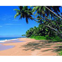 3Nights & 4Days Go Goa Tour Package