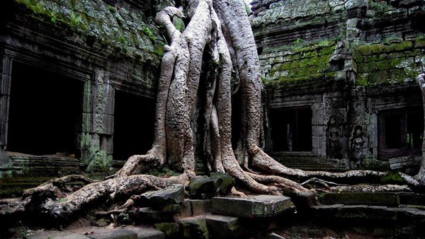 Highlights of Vietnam & Cambodia Tour