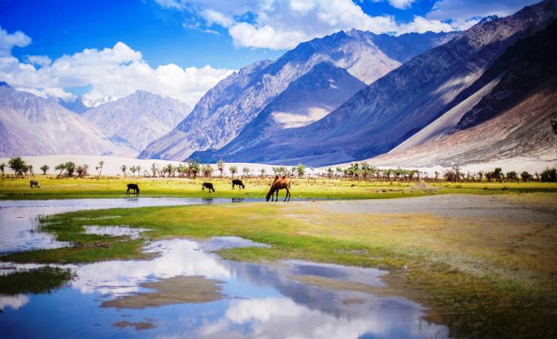 Discover The Nubra Valley Tour
