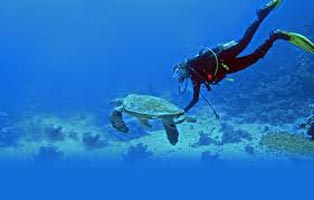 Scuba Diving In Andaman Tour