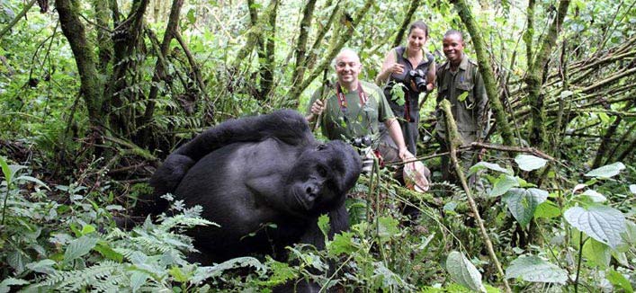 Rwanda Uganda Safari Tour
