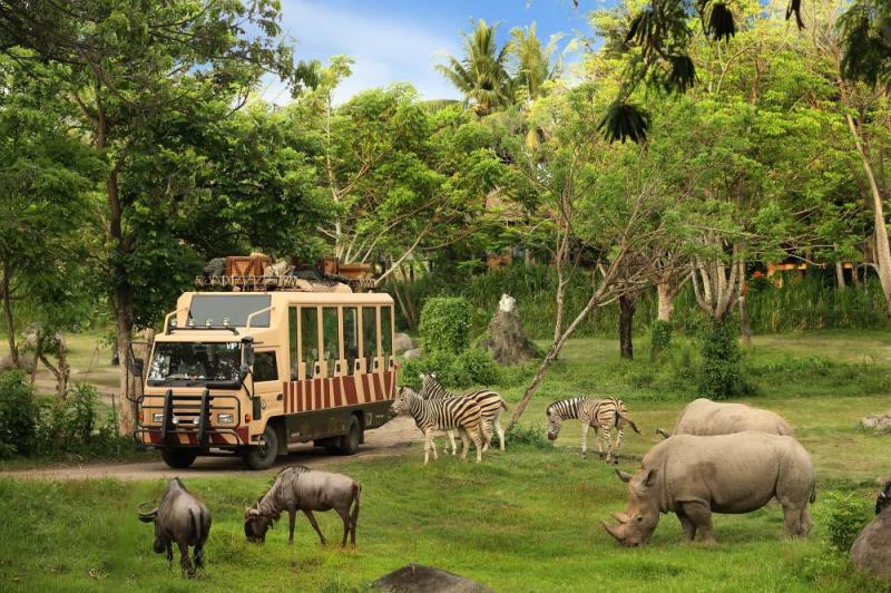 13 Days Uganda Safari Holiday Tour