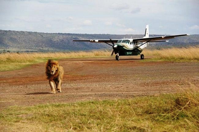 Masai Mara Air Safari Package