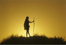 Masai Mara Game Reserve & Lake Nakuru National Park Tour