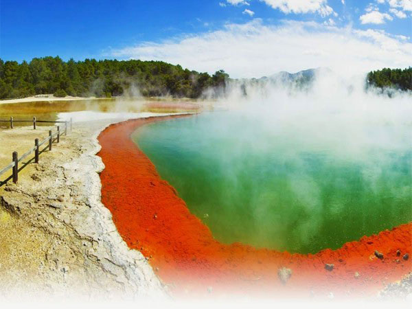 Auckland Rotorua Tour Package