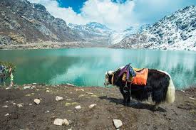 03 Nights Gangtok + 02 Nights Darjeeling Tour