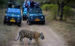 09 Nights & 10 Days Delhi-Jaipur-Ranthambore-Agra-Varanasi Tour