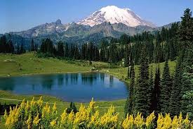 Darjeeling, Kalimpong & Gangtok 06 Nights & 07 Days Tour