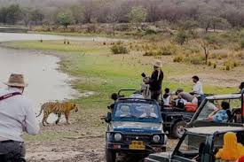 02 Nights & 03 Days Jim Corbett Tour