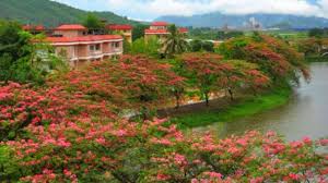 07 Nights & 08 Days Shillong, Cherrapunjee & Guwahati Tour Package