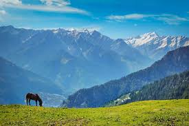 07 Nights/08 Days Himachal Tour Package.