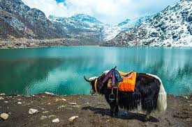 04 Nights/05 Days Gangtok & Darjeeling Tour Package