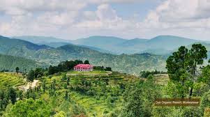 02 Nights/03 Days Mukteshwar Tour Package