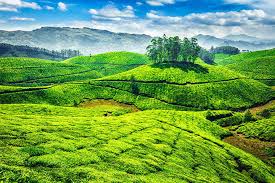 07 Nights/08 Days Kerala Tour Package
