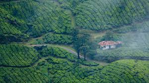 07 Nights/08 Days Kerala Tour Package