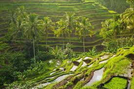 06 Nights & 07 Days Bali Tour Package