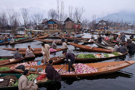 Kashmir 07 Nights/ 08 Days Tour