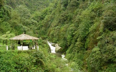 Darjeeling Kalimpong Pelling Gangtok Tour