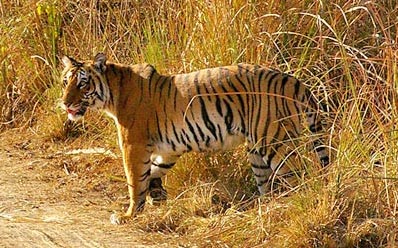 Exclusive Uttaranchal Package