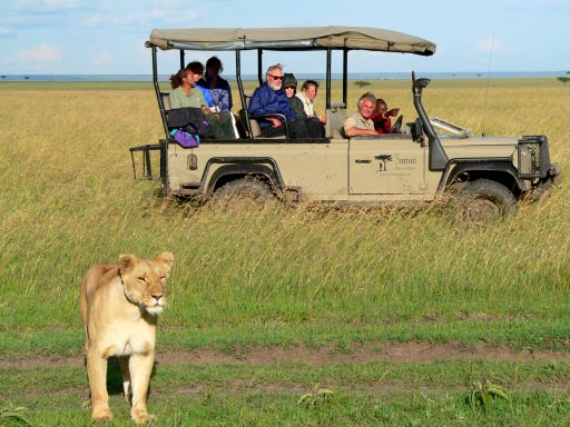 2 Jeep Safaris Tour