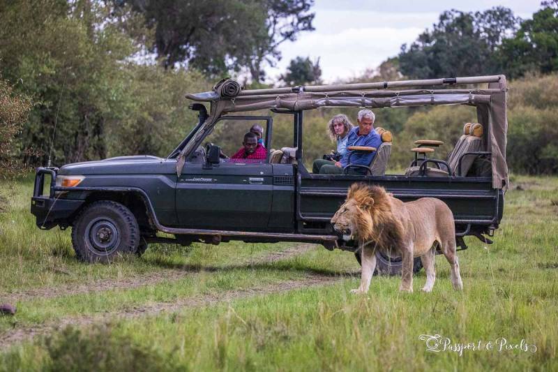 5 Day Amboseli - Lake Nakuru - Masai Mara Mid-Range Tour