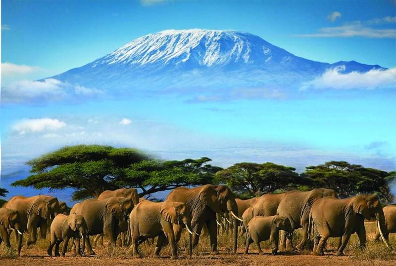 4-Day Amboseli - Tsavo West - Tsavo East Tour From Nairobi