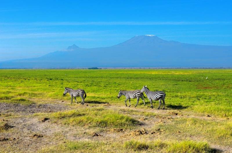 7-Day Amboseli - Hell’s Gate - Lake Naivasha - Masai Mara Mid-Range Tour