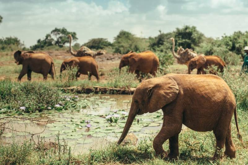 4-Day Tsavo East - Amboseli - Taita Hills Tour From Mombasa