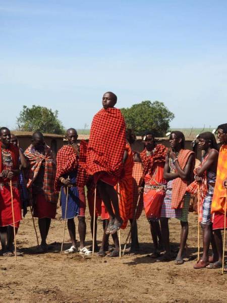 5-Day Amboseli - Lake Nakuru - Masai Mara Mid-Range Tour