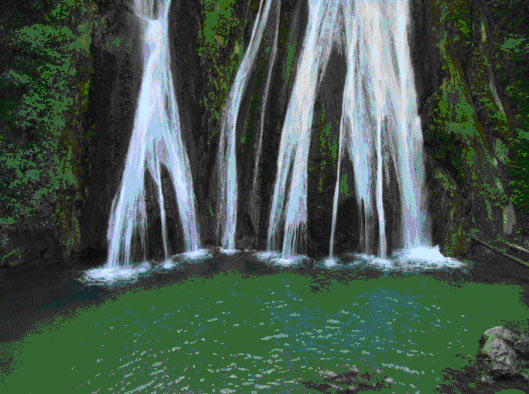 Uttranchal Tour Package