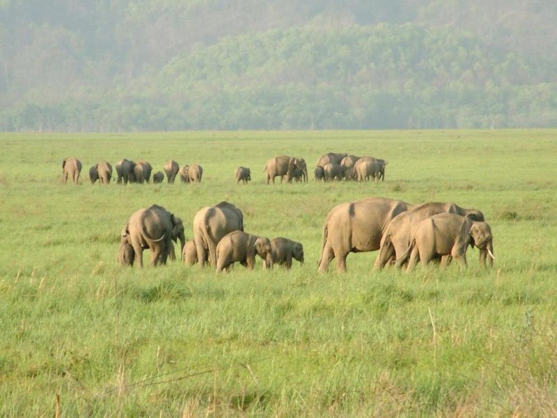 Tour of Corbett National Park