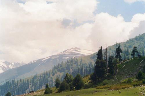 Best Honeymoon Tour in Kashmir