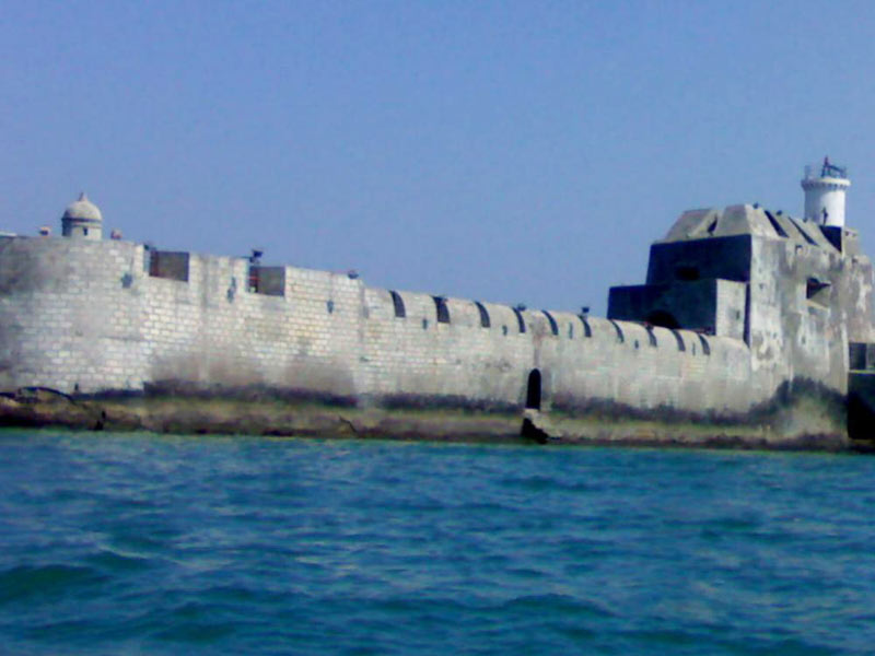 Tour of Wildlife and Beach in Gujarat