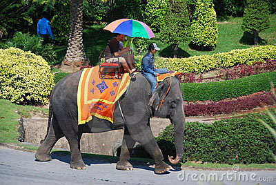 Amazing Tour of Thailand