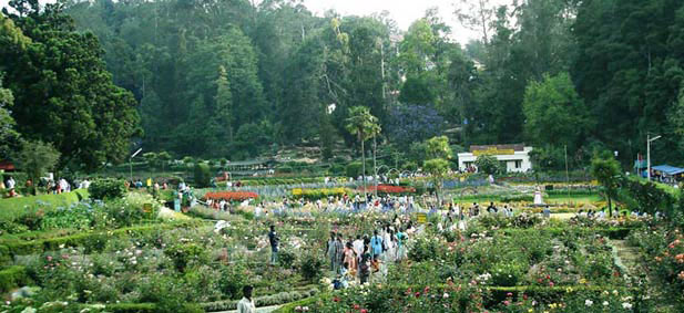 Beauty of South India Tour with Ooty
